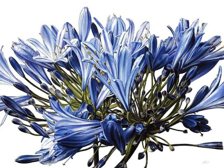 The Kiss, Onslow Gardens